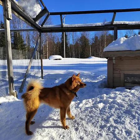 Mummon Moekki * Lokka