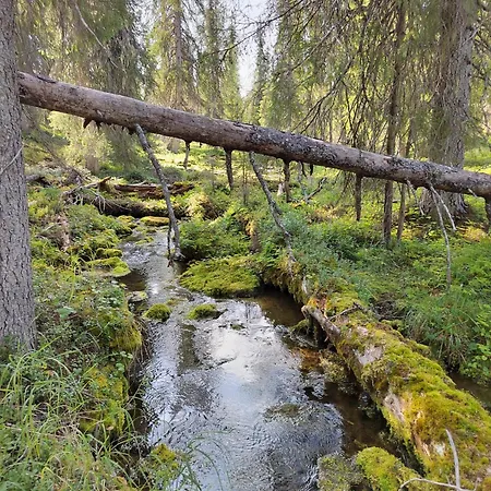 Апартаменты Mummon Moekki Lokka