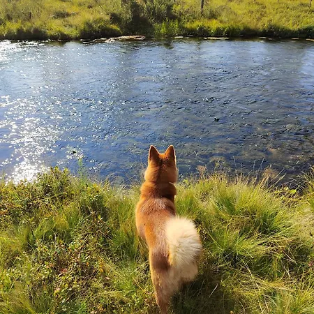 Апартаменты Mummon Moekki *