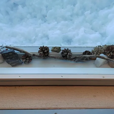 Апартаменты Mummon Moekki *