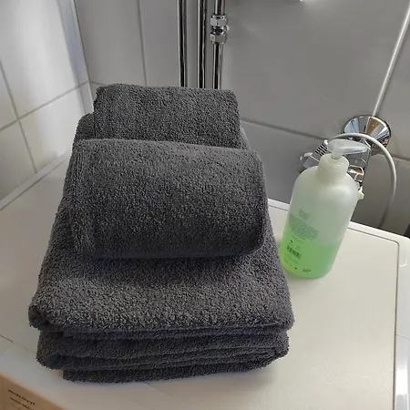 Апартаменты Mummon Moekki