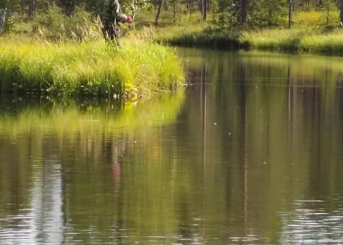 Mummon Huoneisto Lokka